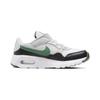 Nike Детские кроссовки Air Max SC PS White Gorge Green Black Pure-Platinum CZ5356-112