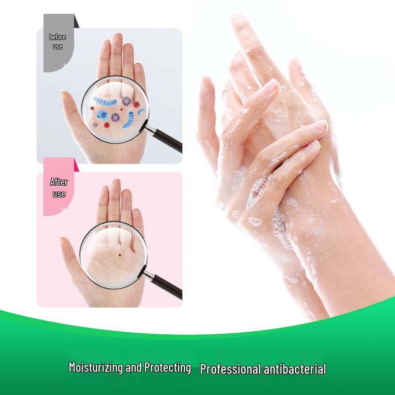 Dettol Moisturizing Hand Soap