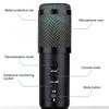 15V Professional USB RGB Microphone Condenser Microphones for Laptop Recording Sing Live for Gaming