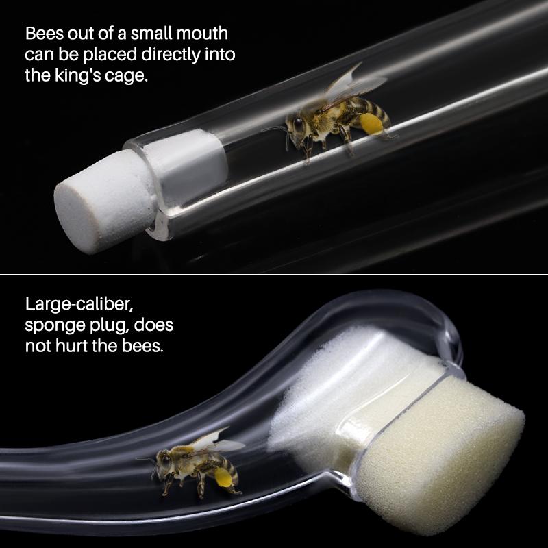 2шт пчеловодческий король ловец пчел ловля королевы клетка устройство поймать короля Apicultura система выращивания пчел принадлежности