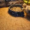 Warm Habitats Bedding Mat Terrariums Furniture Accessories Reptiles Substrates