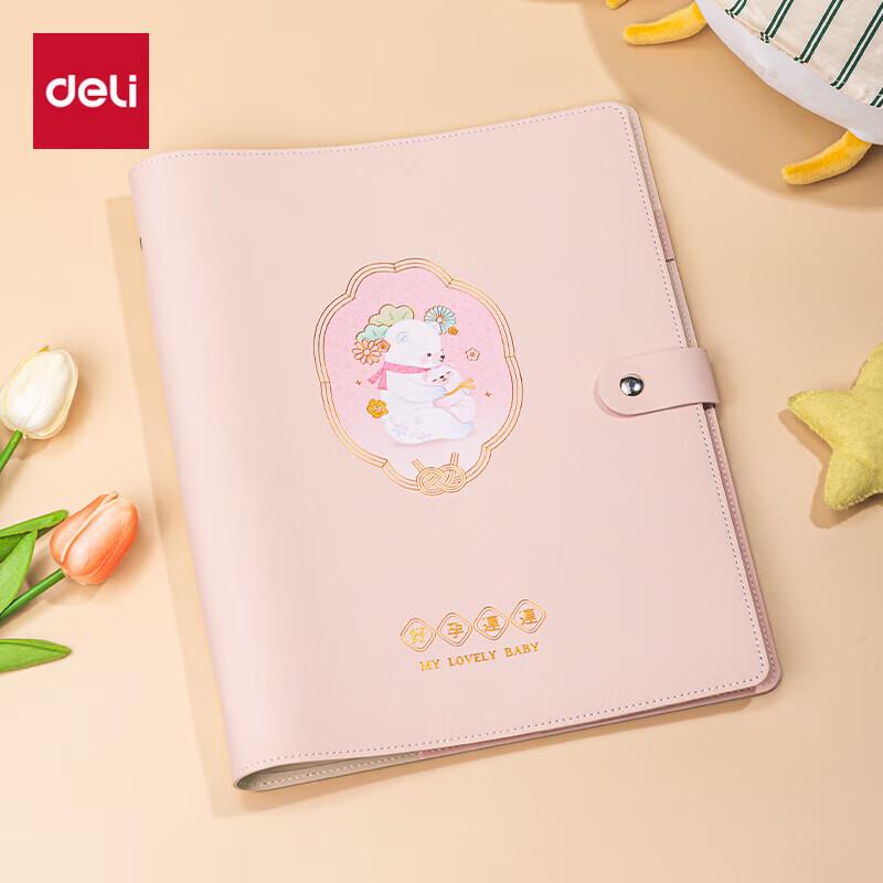 Deli Pregnancy Record & Document Album