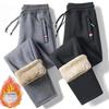 Autumn and Winter Lamb Fleece Casual Pants for Men with Thickened Fleece and Large Size Loose Sports Pants with Straightened Legs for Warmth