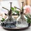 New Embossed Glass Air Pressure Gardening Special Retro Small Can Disinfection Watering Bottle Household Glass Spray Bottle