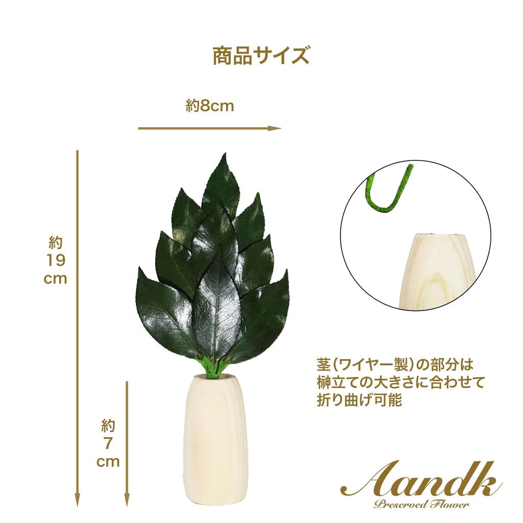 Mini S Sakaki Round Stand with Torii Gate, Shinto Shrine Set, Handcrafted by Artisans, Includes Torii Gate, Ofuda Holder, Shinto Shrine, Sakaki,