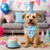 Adjustable Pet Birthday Caps Sequins Cat Triangle Scarf Dog Birthday Bib  Pet Birthday Party