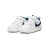 Nike Court Borough Low 2 SE TD 'Следы лап' DQ5981-100