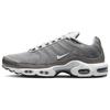 Мужские кроссовки Air Max Plus SE Flat Pewter Серые Photon-Dust Black DV7665-002