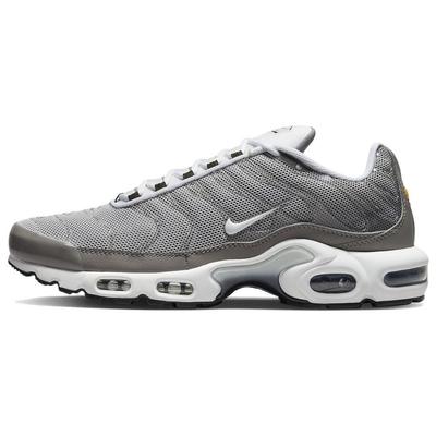 Мужские кроссовки Air Max Plus SE Flat Pewter Серые Photon-Dust Black DV7665-002