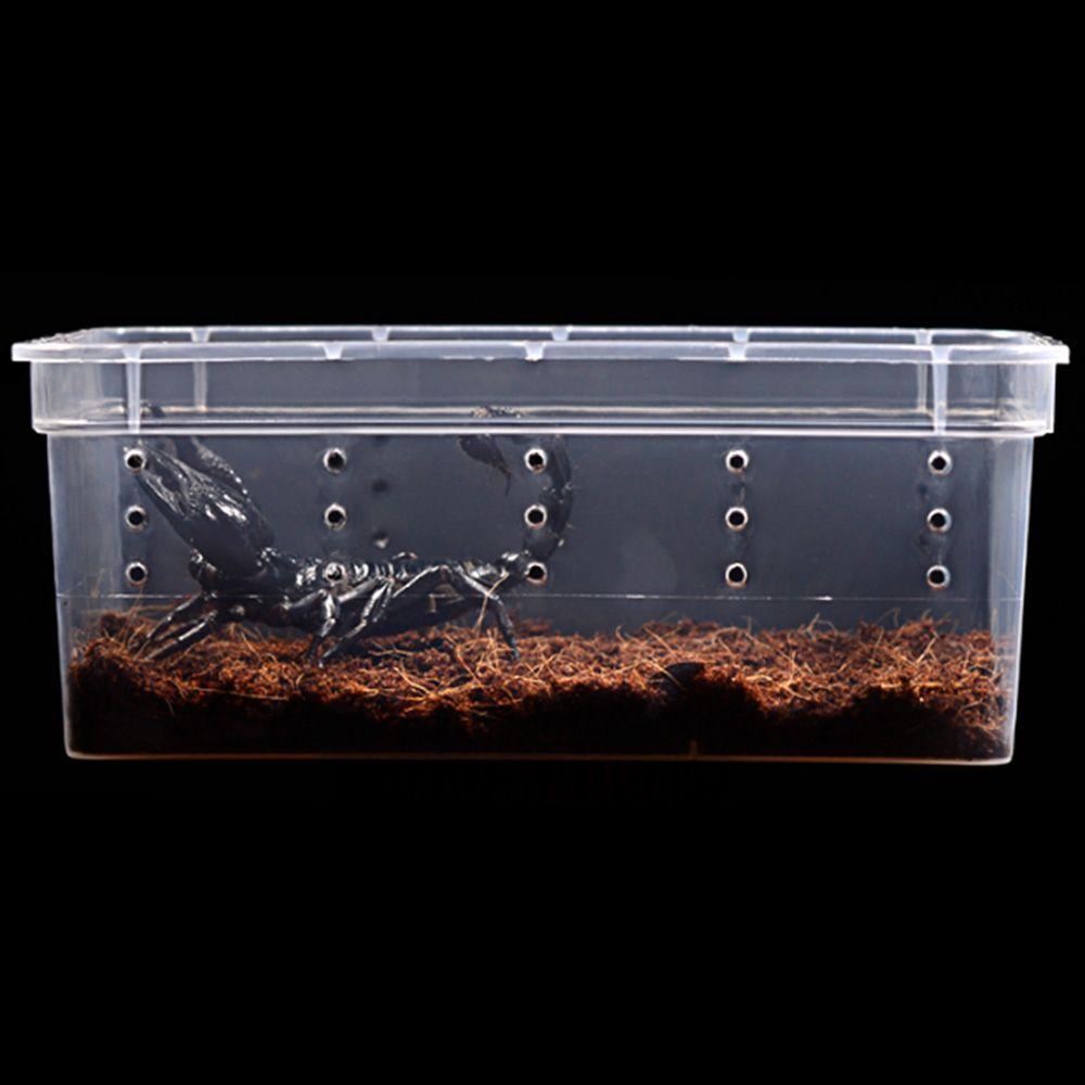Reptile Frogs Tarantulas Snakes Breeding Insect Reptile Terrarium Living House Cage Feeding Box