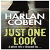 Just One Look by Harlan Coben Paperback Book 9781409150480
