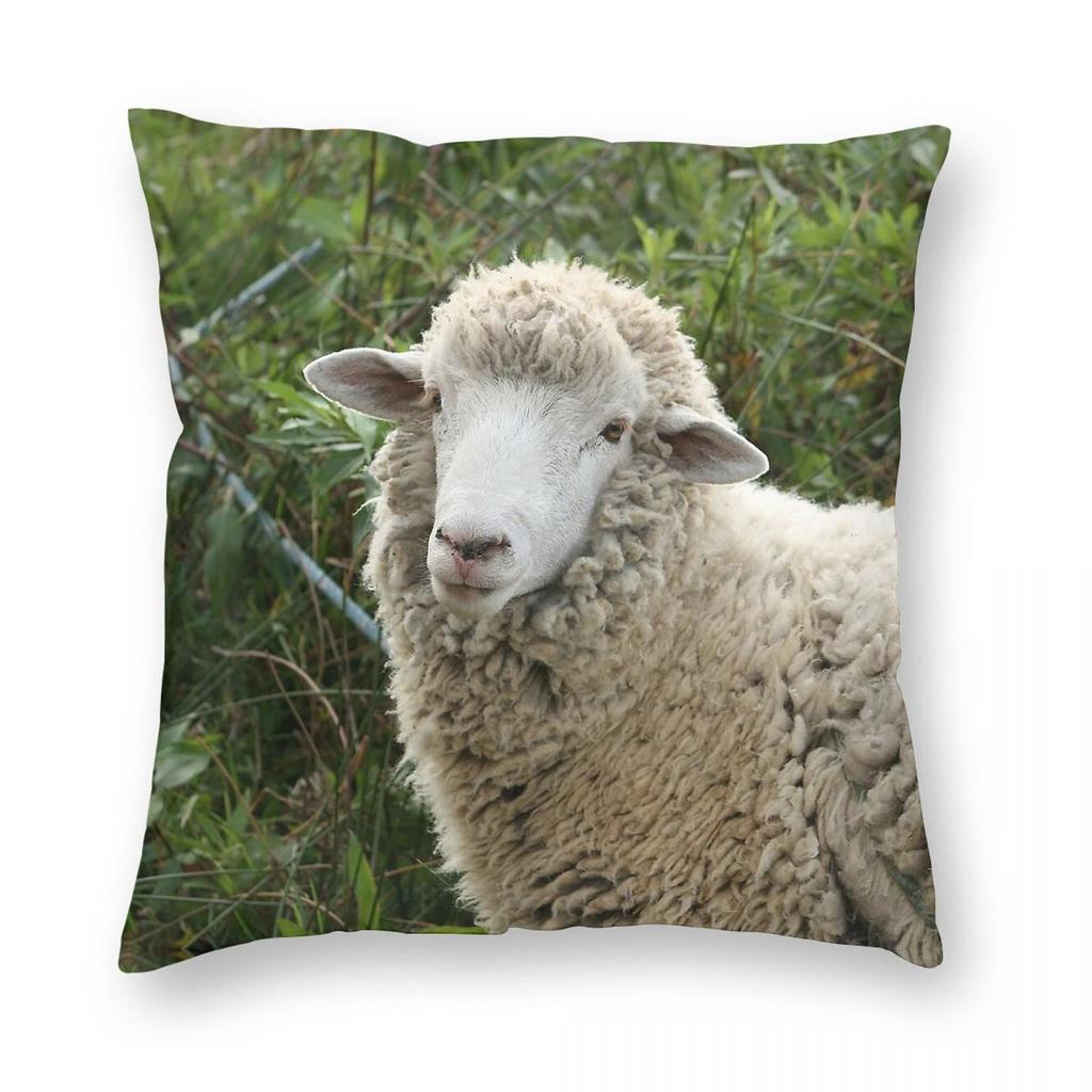Sheep In A Pasture Square Pillowcase Polyester Linen Velvet Creative Zip Decor Sofa Cushion Cover Wholesale x