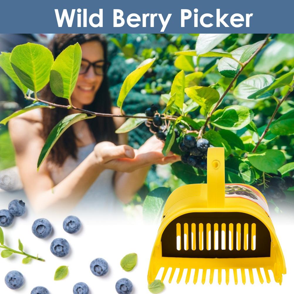 Blueberry Picker Plastic Berry Picker Tool Blueberry Rakes Harvester for Blueberries Lingonberries