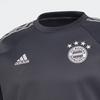 Adidas Sweatshirts Men's Gray Crew Neck Moderate Regular FR3989