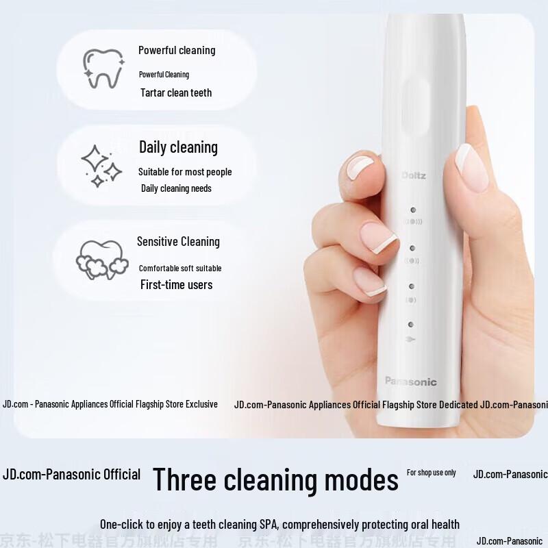 Panasonic DC033 Electric Toothbrush