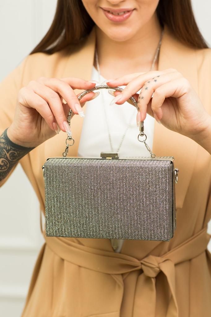 Women's Stylish and Useful Evening Dress Bag Women's Platinum Silvery Evening Dress Bag