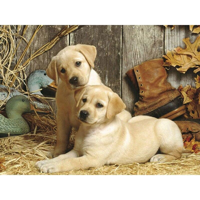 5D DIY Алмазная картина Набор Собака Искусство Алмазная вышивка Стразы Украшения для дома