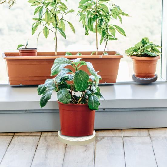 Flower Plant Pot Tray with Wheels 360-degree Rotation Rolling Plant Stand Durable Flower Pot Mover for Home Garden