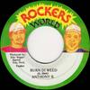 7inch Record ANTHONY B - Burn Di Weed NONE Rockers World 1996 Jamaica Reggae, Ska & Dub Used