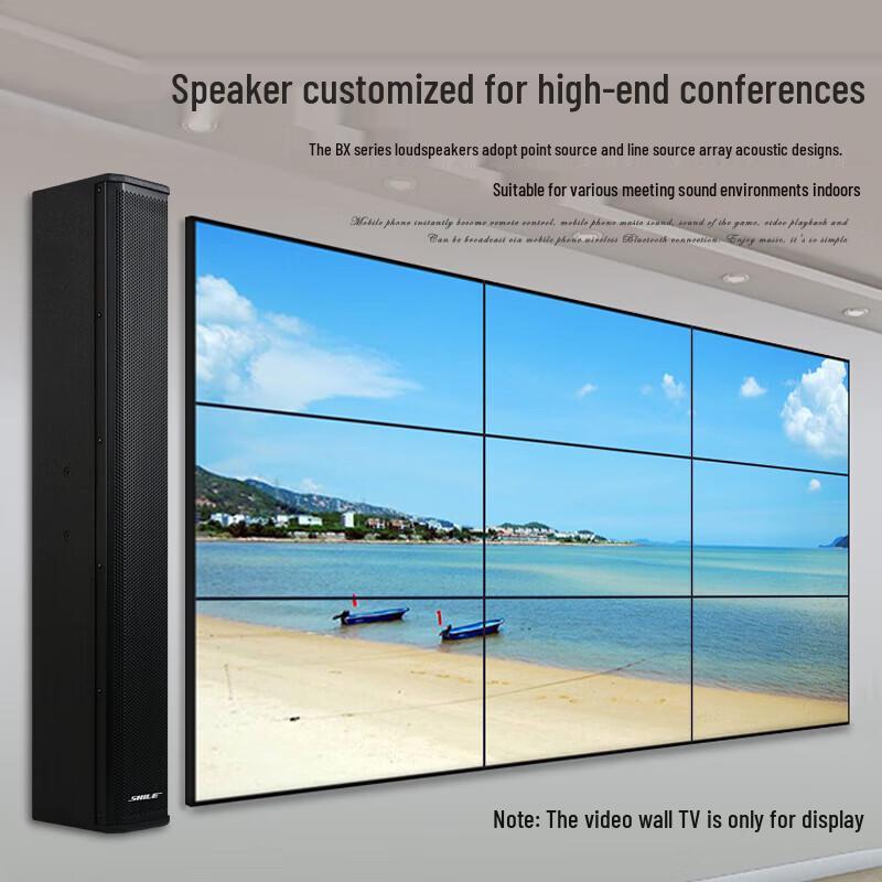 SHILE Conference Audio System with Mixer (CN version)