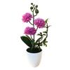 Small Ball Chrysanthemum Faux Chrysanthemum Flowerpotted Plastic Fake Flower  Home Decoration