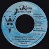 7-дюймовая пластинка WARD 21 What Ya Wanna Do NONE King Jammys 1998 Ямайка Регги Ска Даб Б/у