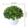 Artificial Plants Potted Green Bonsai Plant Decorative Looks Small Tree Grass Plants Pot Ornament Bonsai Tree Pot Room Decor