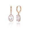CRANNE 14K Round Big Cubic Earrings (Gold Pin) C24EGP199