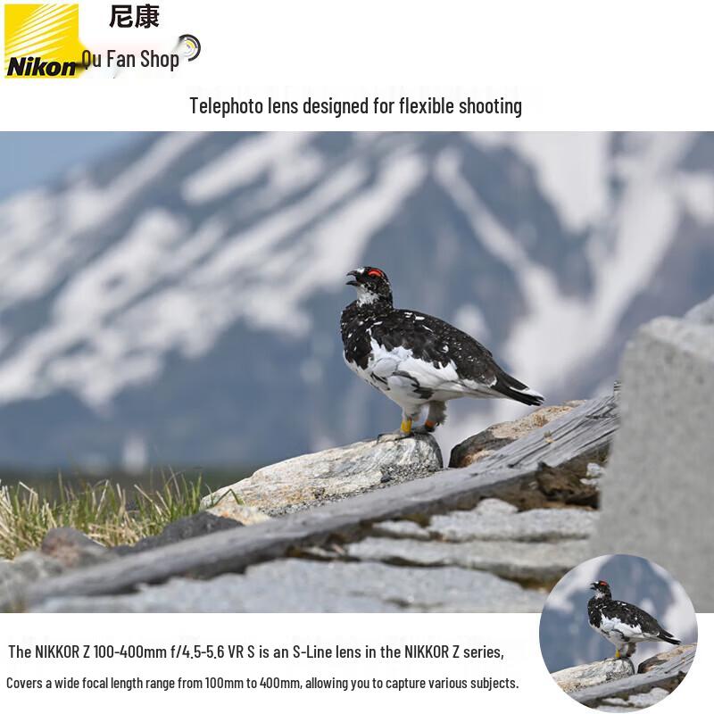 Nikon NIKKOR Z 100-400mm f/4.5-5.6 VR S Lens