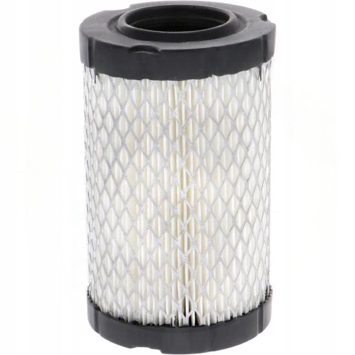 Briggs & Stratton 4145 Air Filter 796031 594201 590825 14.5-24Hp German