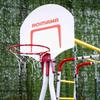 garden basketball basket