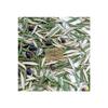 Sevin Teyze Olive Leaf, Olive Leaves, Oleae Folium, Oleaceae, Immortal Tree Leaf 50g