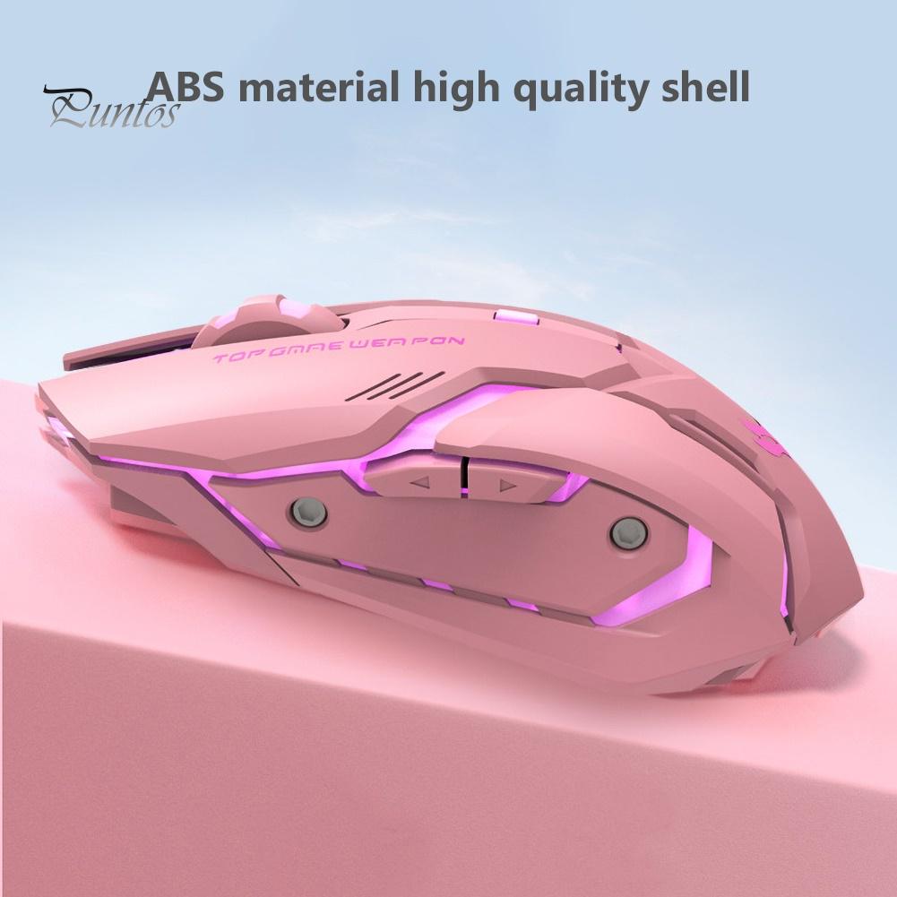 Puntos Rechargeable T1 Ergonomic 2.4G Silent Backlit USB Optical Wireless Gaming Mouse