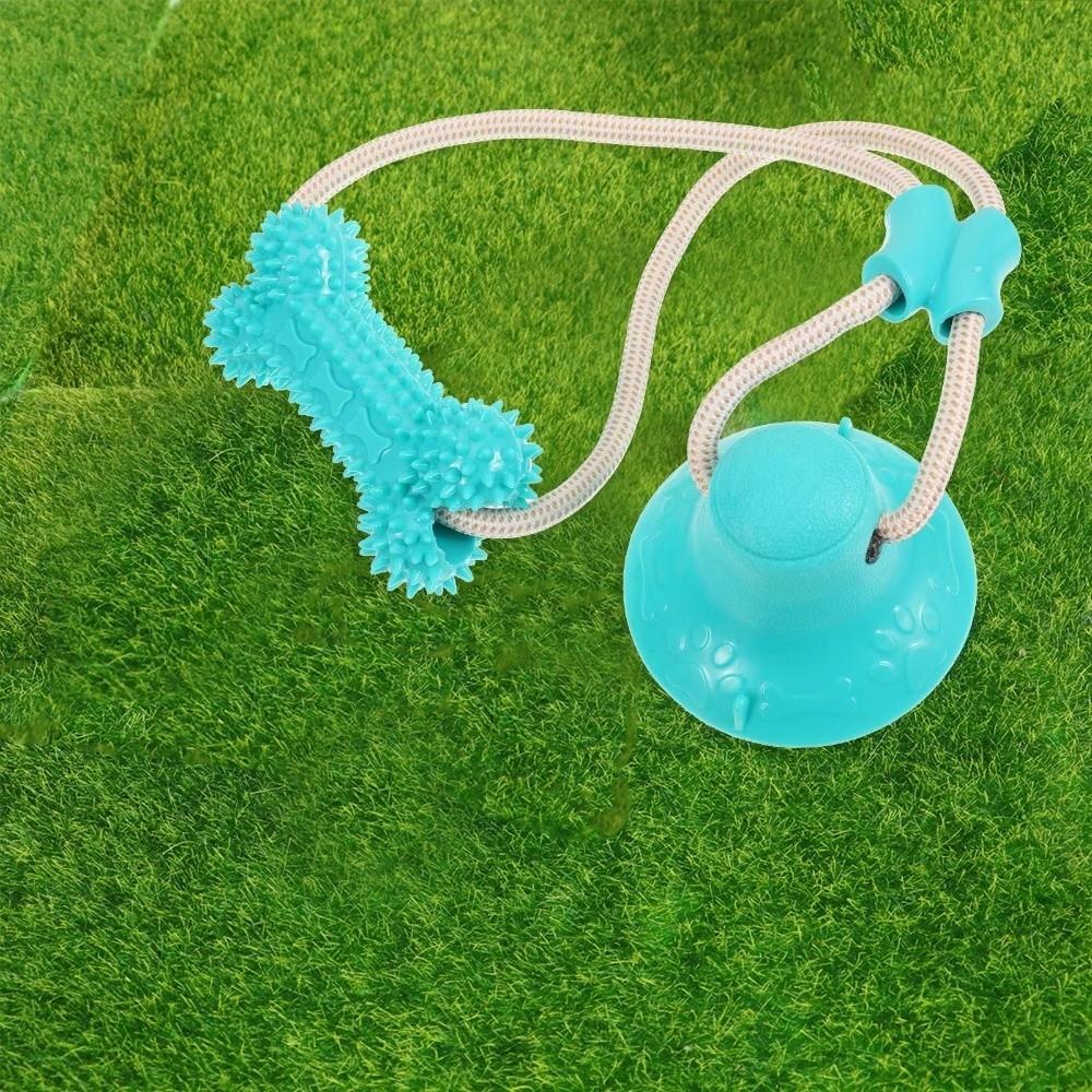 Bite Resistant Puppy Chew Toy Suction Cup Pet Molar Bite Toy Pet Interactive Toys Pet Supplies