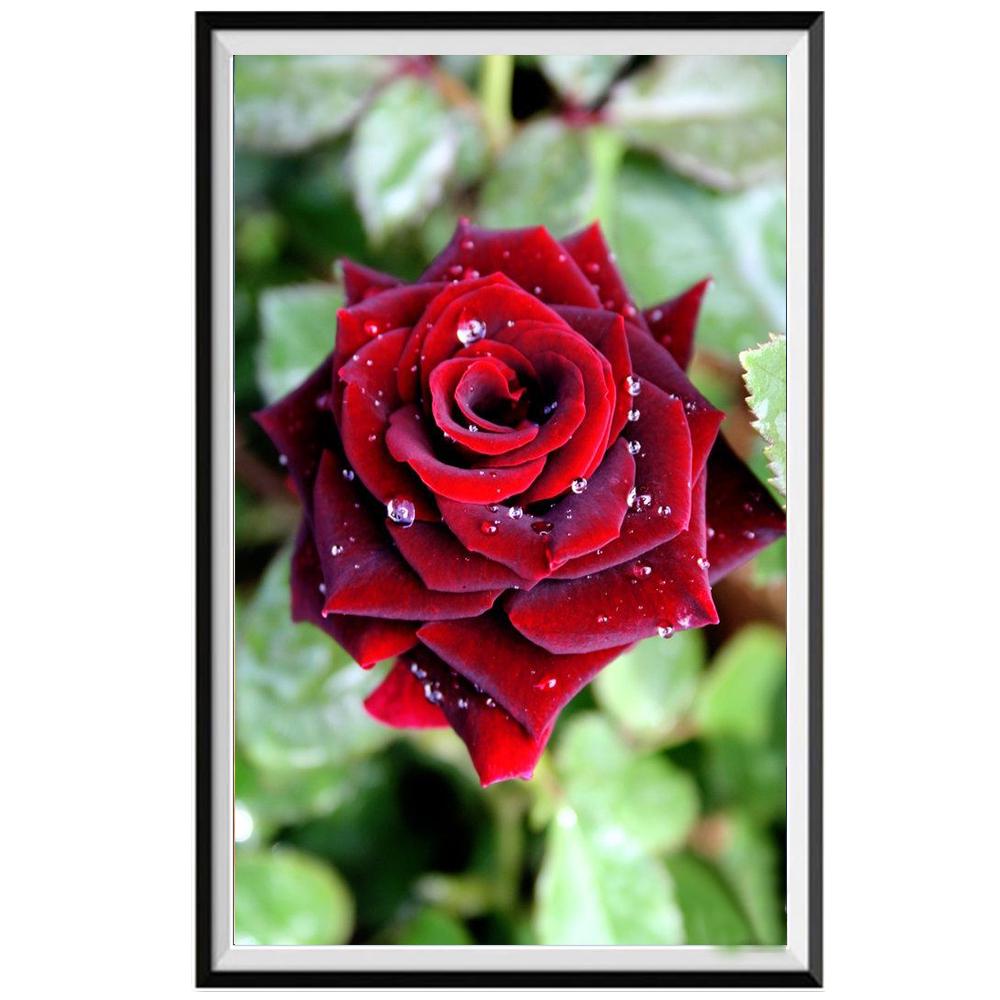 Полный круг алмазная живопись розовый сад 5D Diy алмазная живопись вышивка крестиком животное Алмазная вышивка мозаика украшение дома