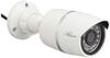 Corona Dengyo Outdoor Security Camera AHD 2 Million Pixels Full High Definition Model White TR-H205