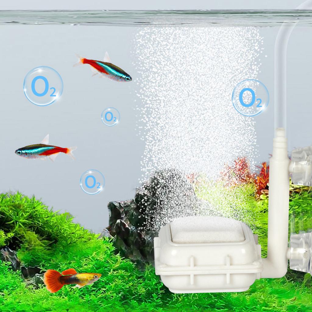 Aquarium Air Bubble Oxygenation Bubble Disk Accessory For Various Fish Tanks Efficient Oxygenating Bubble Disk