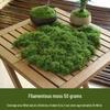 Bionic Artificial Moss Turf Micro Landscape Ornaments for Bonsai and Potted Plant Landscaping