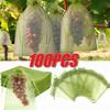 Fruit Protection Bag Plant Growth Bag Vegetable and Fruit Insect Proof Bag Strawberry and Grape Bird Proof Bags