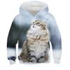 Детская толстовка с капюшоном Cat Casual с длинным рукавом Active Cotton 7-13 лет осень многоцветная черная белая
