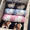 Spring and Autumn Cotton Wool Puppy Cartoon Socks Cute Style Plush Academy Style Color Blocked Stacking Socks