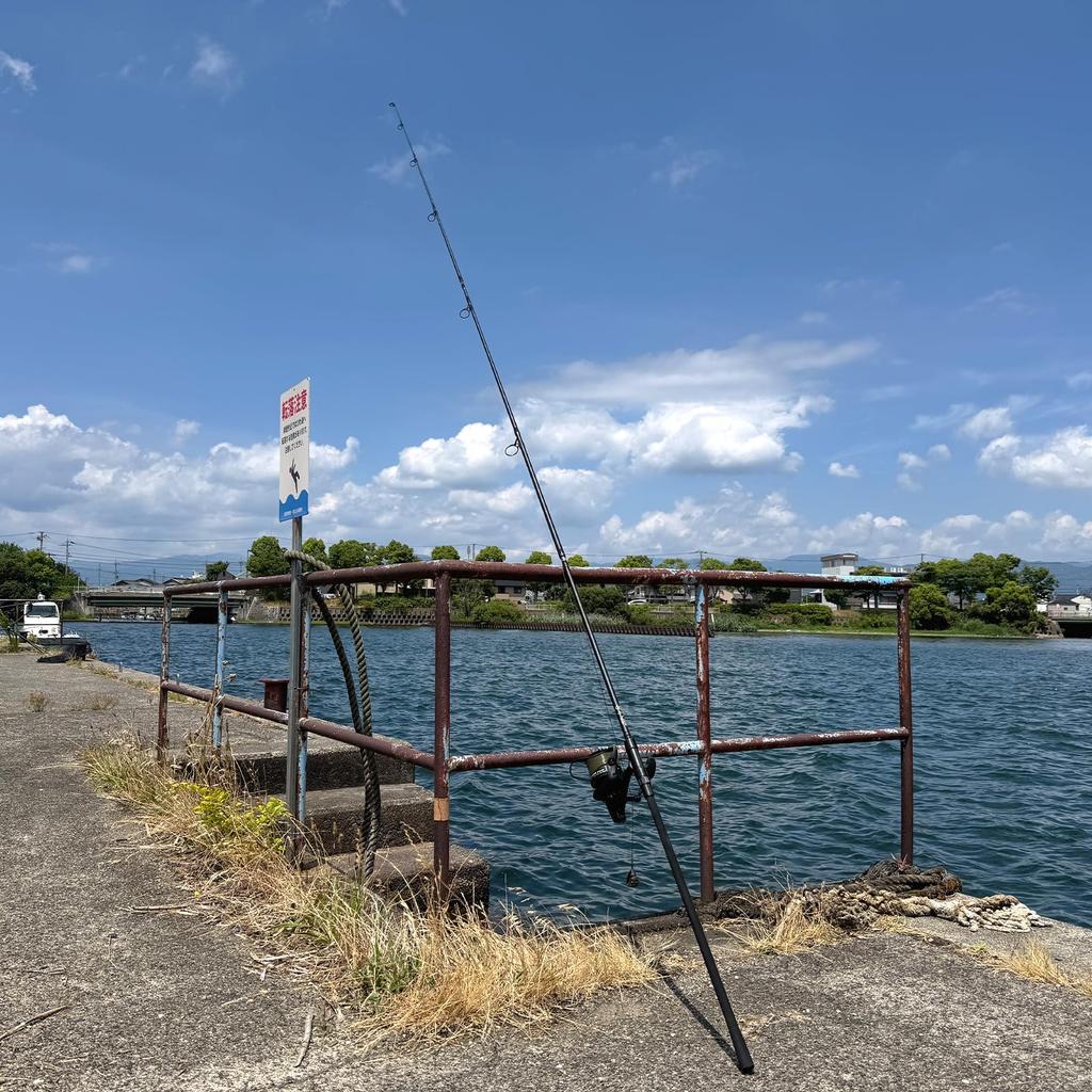 Карповое удилище CarpQuest Claw 12ft 3.0lb, Японский бренд, 3-частное карповое удилище (3,6 м) (Пробка)