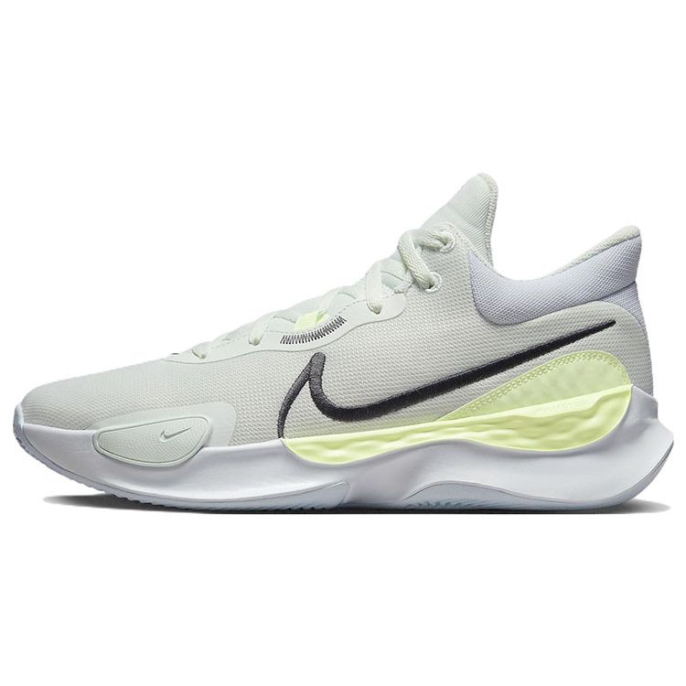 Nike Renew Elevate 3 DD9304-300
