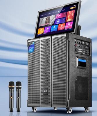 SAST SA-258X Домашняя аудиосистема KTV Штепсель CN (адаптер в комплекте)