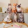 Милые Реалистичные 3D Плюшевые Игрушки Кошки Мягкая Кукла Животное Симуляция Подушка для Сна Диванная Подушка Мультяшная Кукла Домашний Декор Подарок