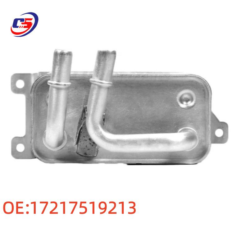 Подходящий масляный радиатор двигателя и радиатор трансмиссии BMW 17217507974 / 17217519213