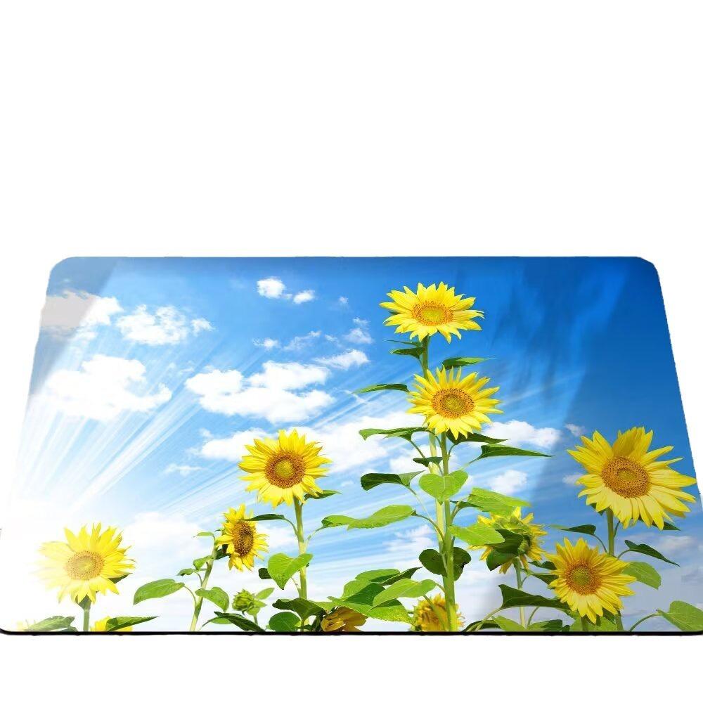 Small Fresh Sunflower Diatom Mud Mat Absorbent Dirty Bathroom Non-slip Mat Toilet Toilet Quick Drying Door Mat