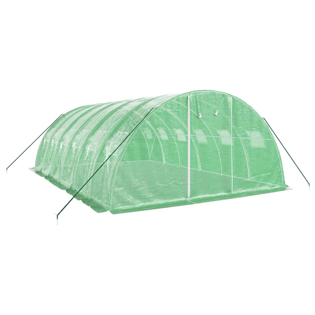 Green Greenhouse with Steel Frame 24 m² 6 x 4 x 2 m