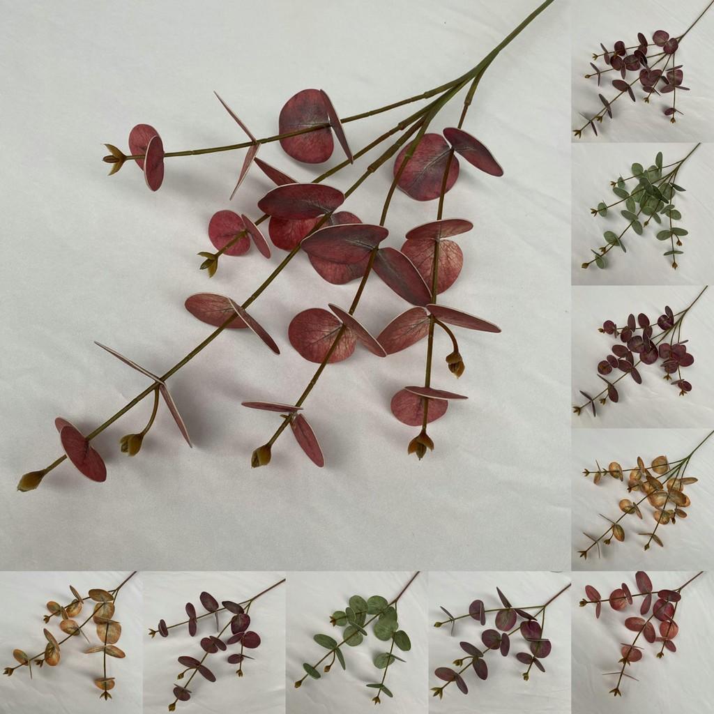 Стебли листьев эвкалипта для внутреннего и наружного свадебного украшения, подарок