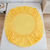 Bed Sheet Anti-insect Anti-bacteria Fitted Sheet All-round Elastic Rubber Band Mattress Cover Topper Bedcover No Pillowcase
